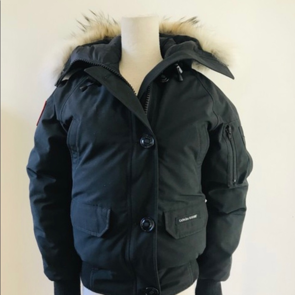 Canada goose bomber